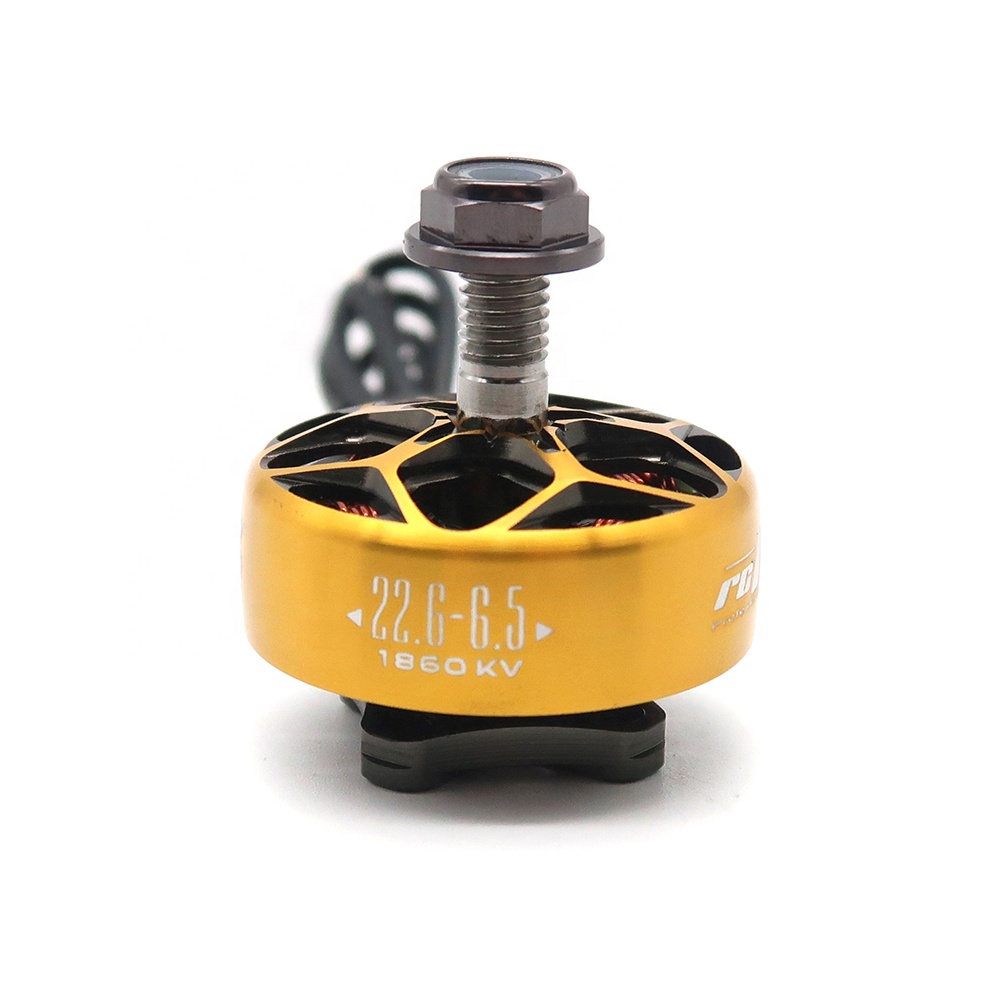 RCINPOWER WASP MAJOR 1860KV 20 – Drone Battery 6S Bewertung und Preis